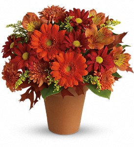 Golden Glow in Kentwood LA, Glenda's Flowers & Gifts, LLC