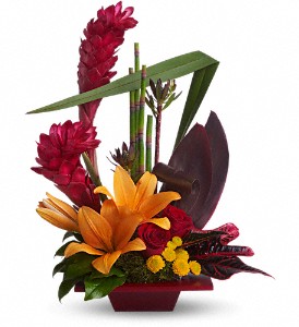 Teleflora's Tropical Bliss in Kentwood LA, Glenda's Flowers & Gifts, LLC