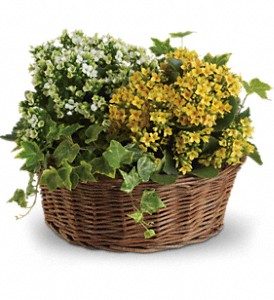 Basket of Joy in Kentwood LA, Glenda's Flowers & Gifts, LLC