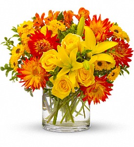 Summer Samba in Kentwood LA, Glenda's Flowers & Gifts, LLC