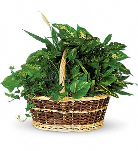 Large Basket Garden in Kentwood LA, Glenda's Flowers & Gifts, LLC