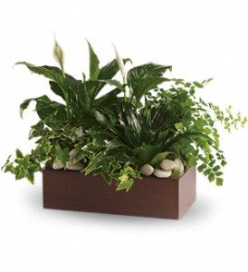 Teleflora's Quiet Expressions in Kentwood LA, Glenda's Flowers & Gifts, LLC