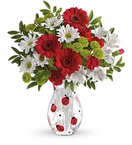 Teleflora's Lovely Ladybug Bouquet in Kentwood LA, Glenda's Flowers & Gifts, LLC