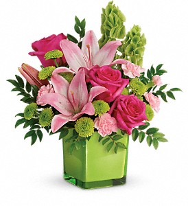 Teleflora's In Love With Lime Bouquet in Kentwood LA, Glenda's Flowers & Gifts, LLC