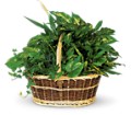 Large Basket Garden in Kentwood LA Glenda's Flowers & Gifts, LLC