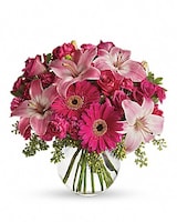 Standard size, 14 and a half inches height and 13 1/4 inches wide.