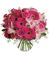 Premium size, 16 inches height and 14 and a half inches wide.