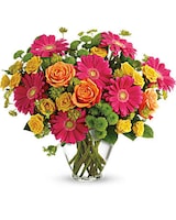 Premium size, 15 3/4 inches height and 18 inches wide.