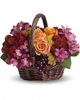 Standard size, 11 3/4 inches height and 13 3/4 inches wide.