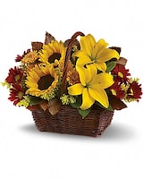 Standard size, 10 and a half inches height and 14 1/4 inches wide.