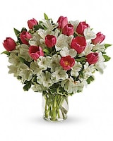 Premium size, 14 and a half inches height and 14 and a half inches wide.