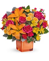 Premium size, 13 3/4 inches height and 15 inches wide.