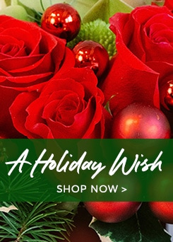 Product Page Detail Banner for Christmas Flowers - Send Christmas Flowers - Delivery Christmas Flowers