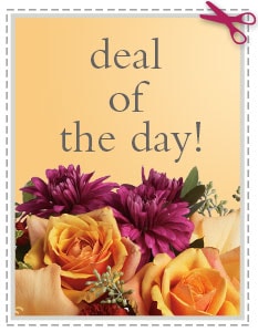 Send The Best Deal of the Day - Biggest Freshest Arrangement